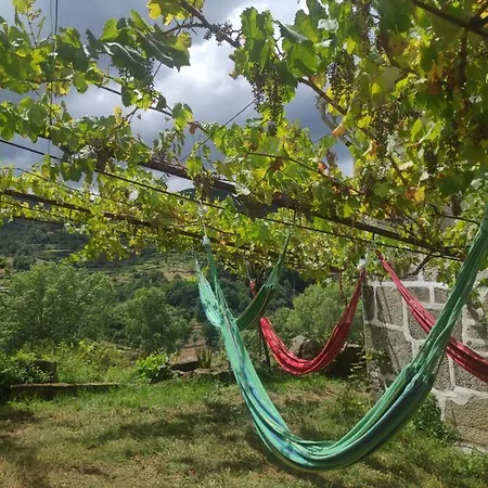 Quinta Do Sol - Soutelo