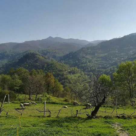 Quinta Do Sol - Soutelo Holiday home Cha