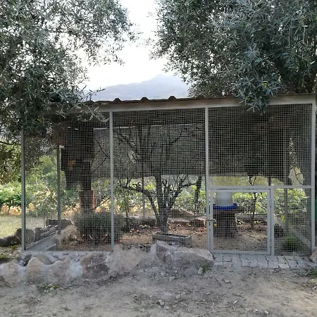 Quinta Do Sol - Soutelo